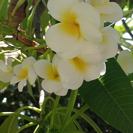 La Pomelia Di Gio Holiday home *